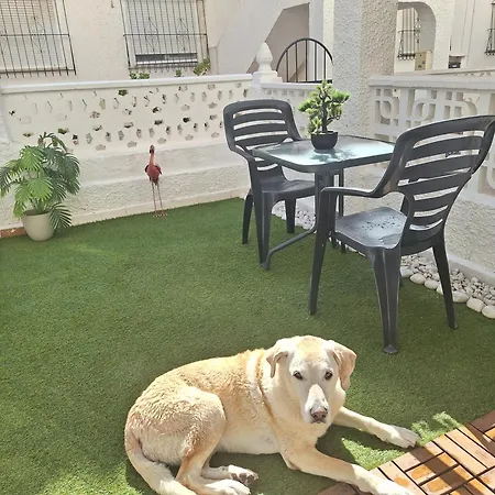 Apartament Mi Casita *